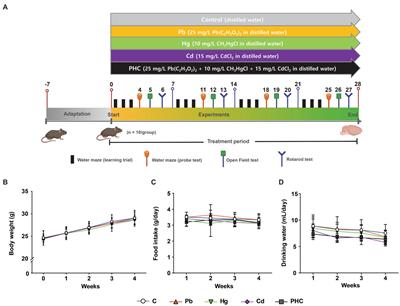 Co-exposure to lead, mercury, and cadmium induces neurobehavioral impairments in mice by interfering with dopaminergic and serotonergic neurotransmission in the striatum